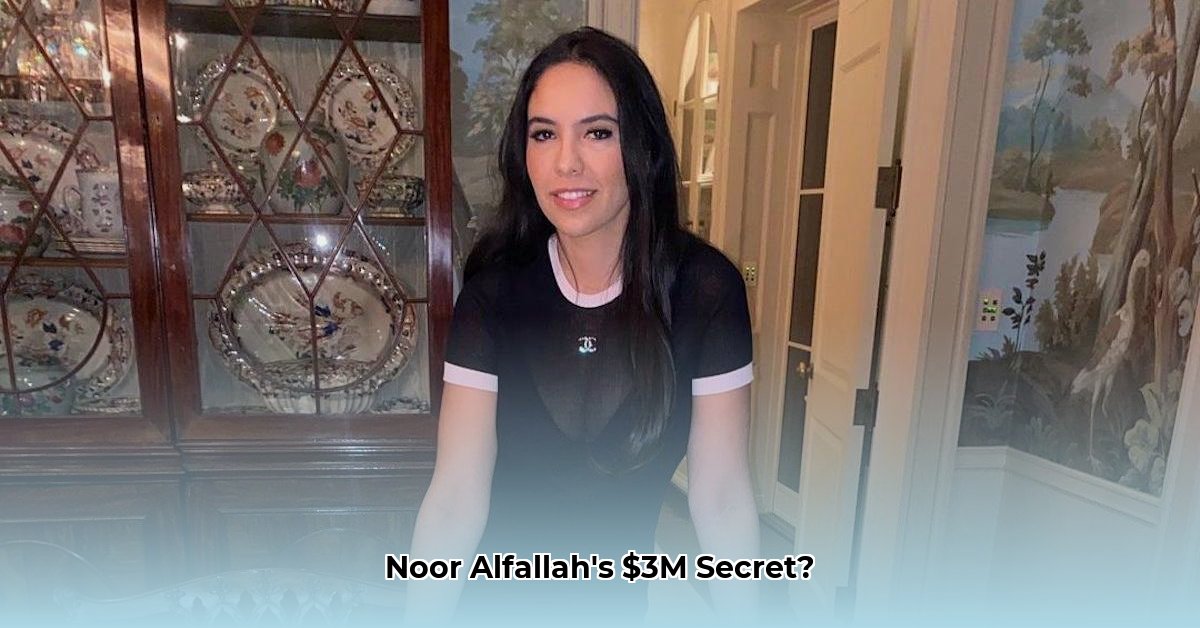 noor-alfallah-net-worth